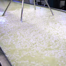 Vella Cheese 2