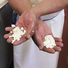 Vella Cheese 4