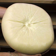 Vella Cheese 7
